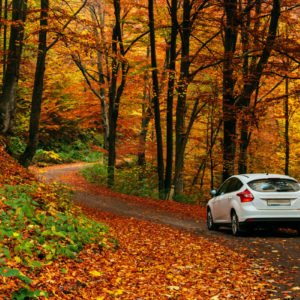 Los peligros de conducir en otoño