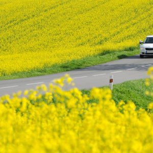 Consejos para el mantenimiento del coche en primavera