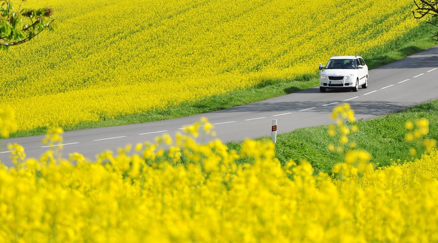 Coche en el campo