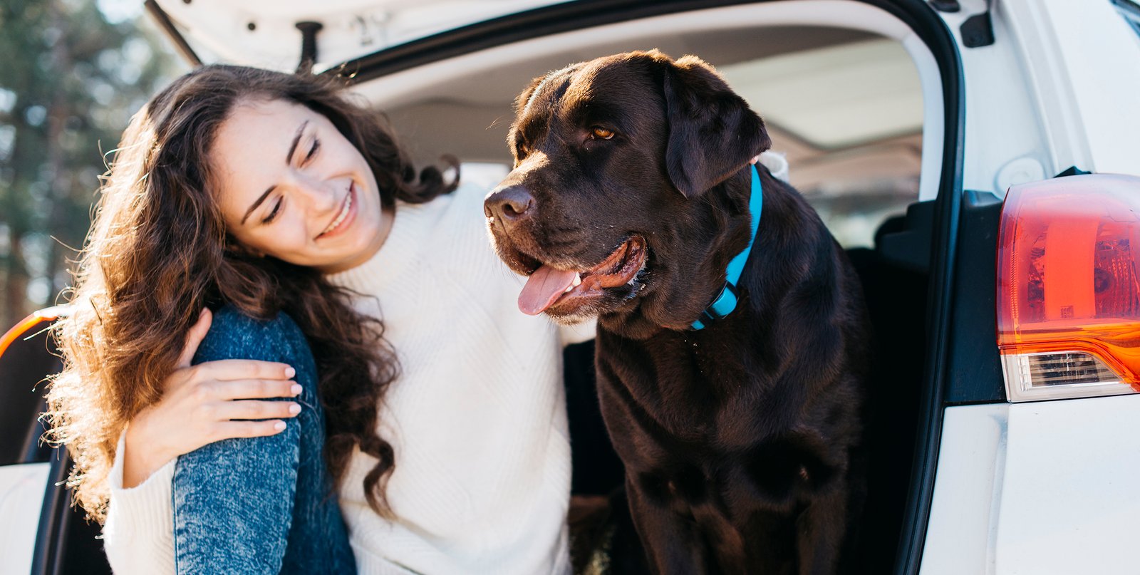 Viajar con mascota en coche