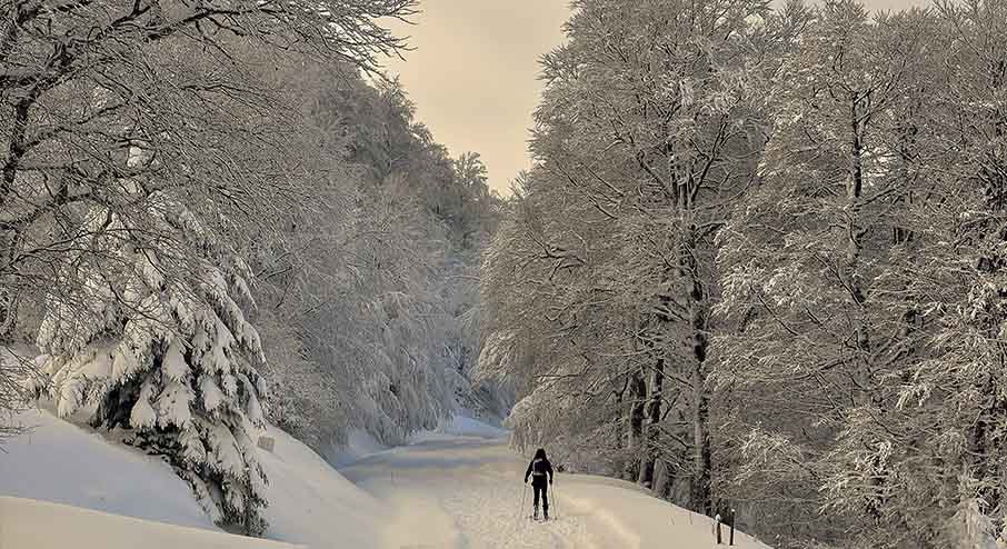 Viaje en coche a la nieve